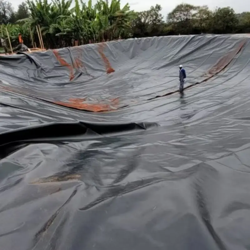 geomembrane 230303 (4).webp